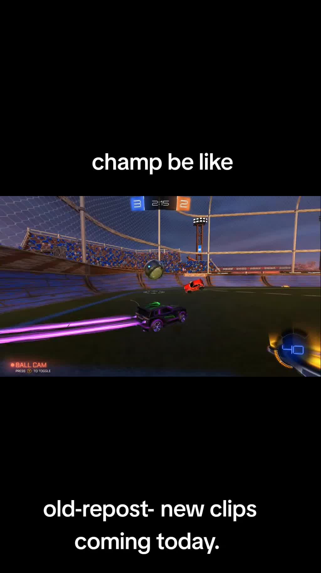 @That1BearGuy - RL