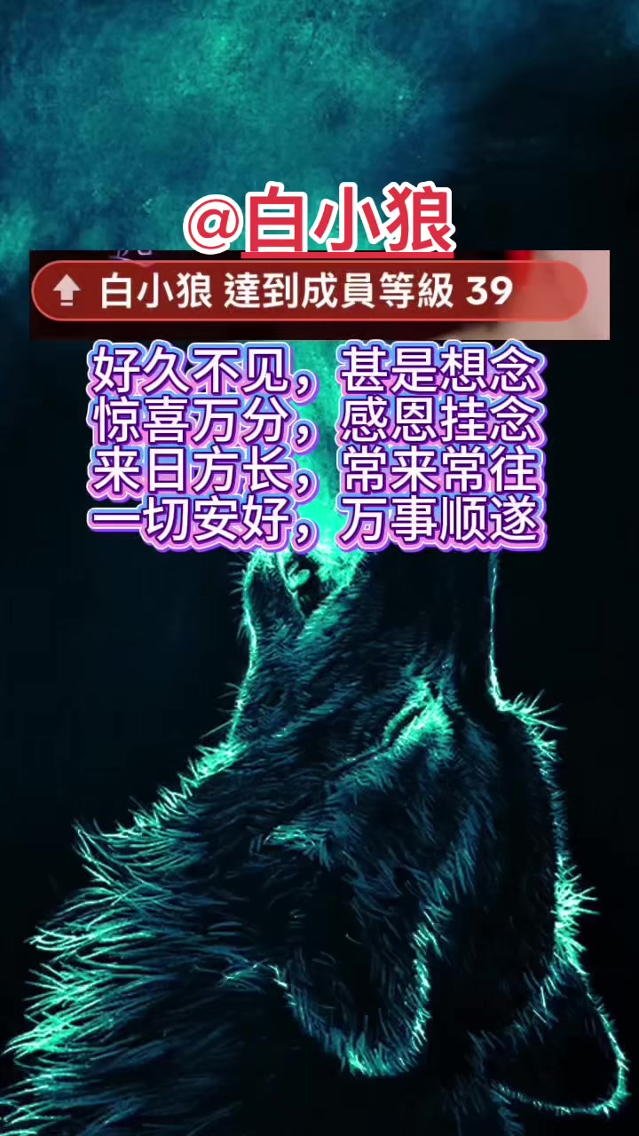 @迷糊洋洋⁶⁸⁹