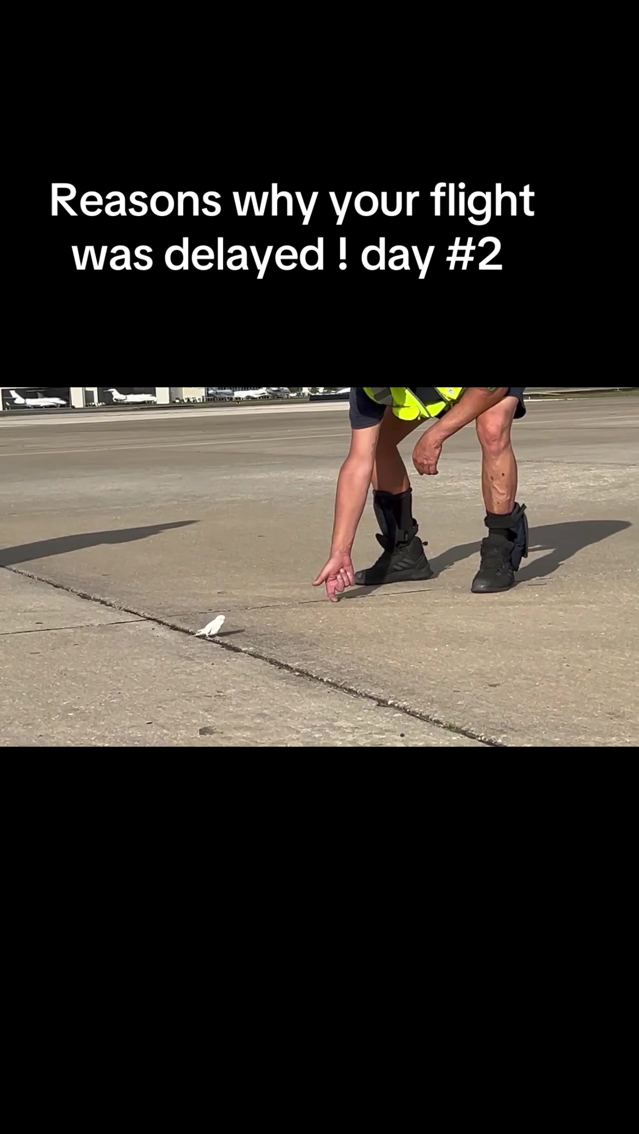 @2FL.2FLY