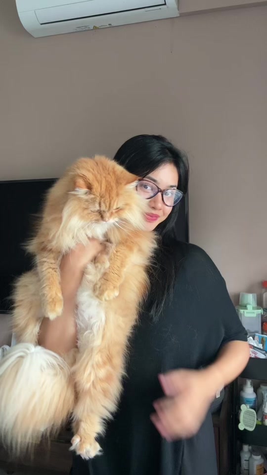 @Amylia Aidura