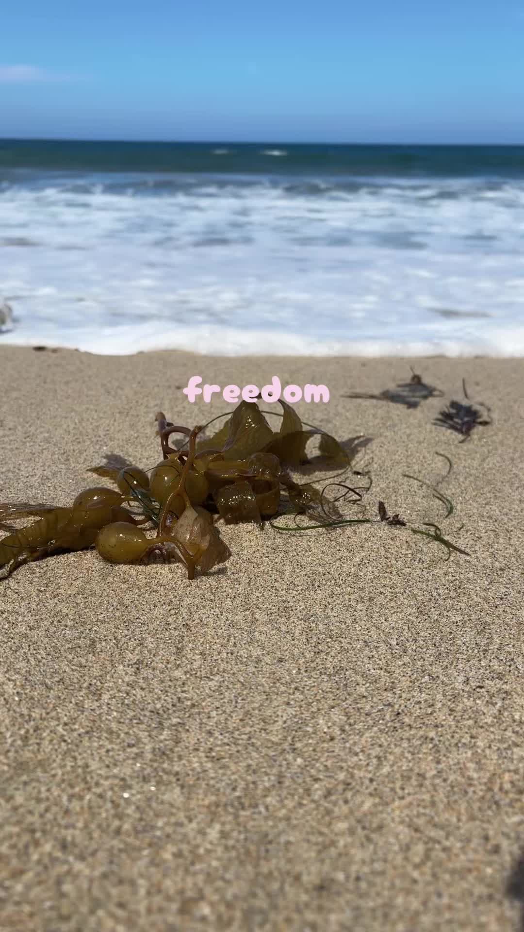 @𝗠𝗜𝗖𝗛𝗘𝗟𝗟𝗘