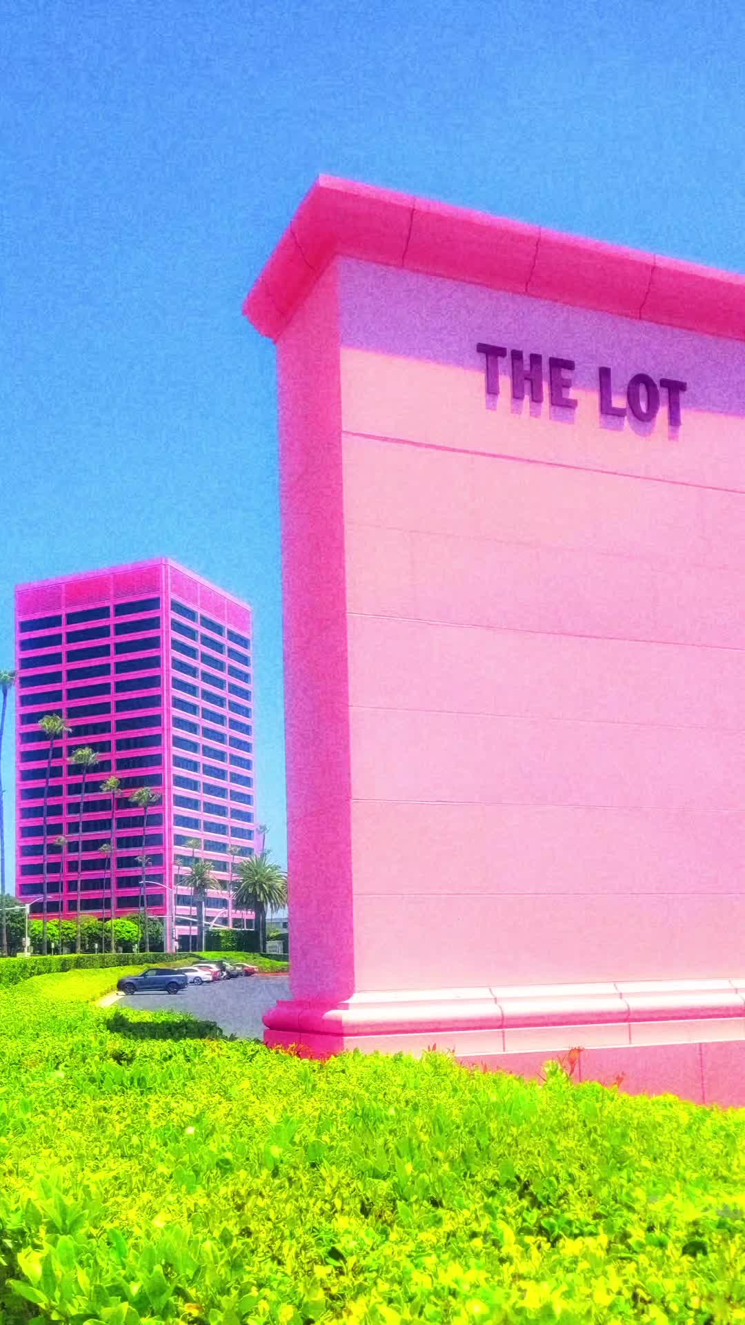 @Davin Del Amo