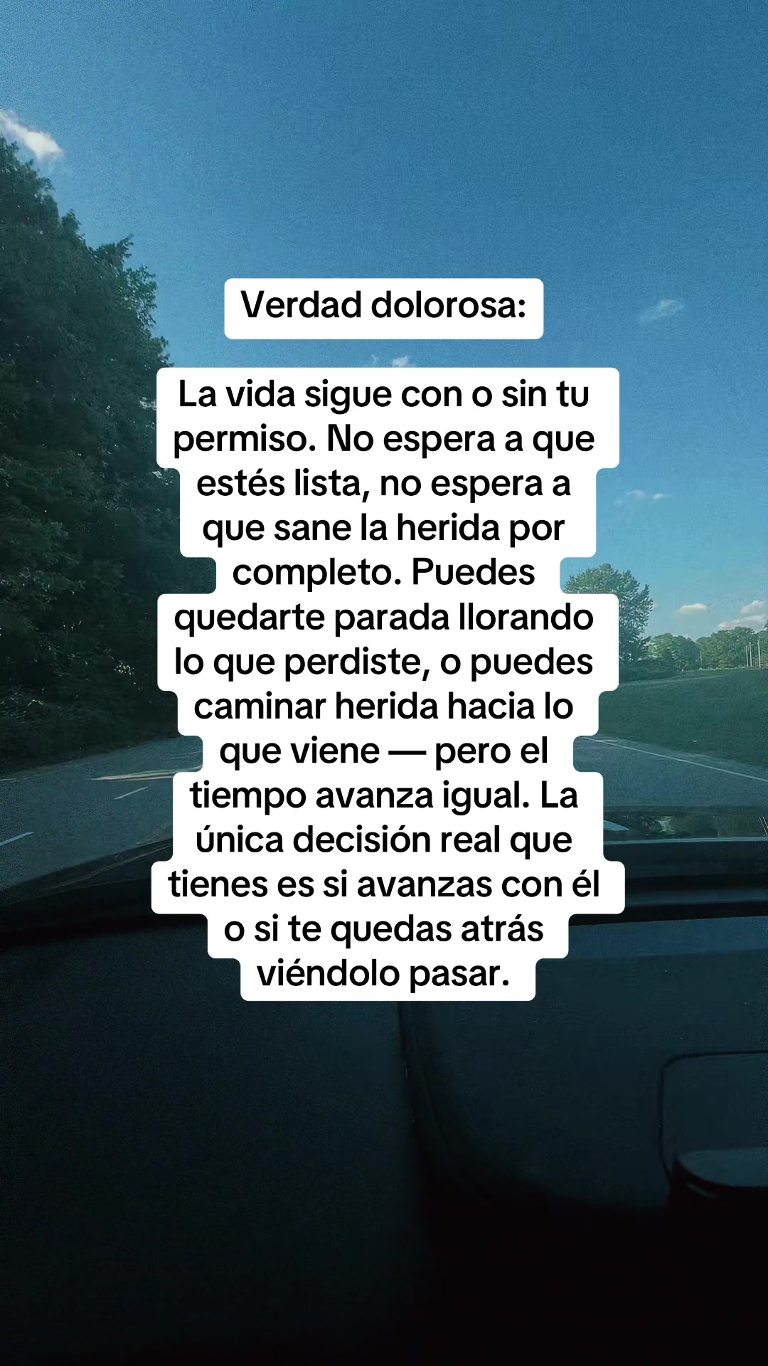 @vidarealconari