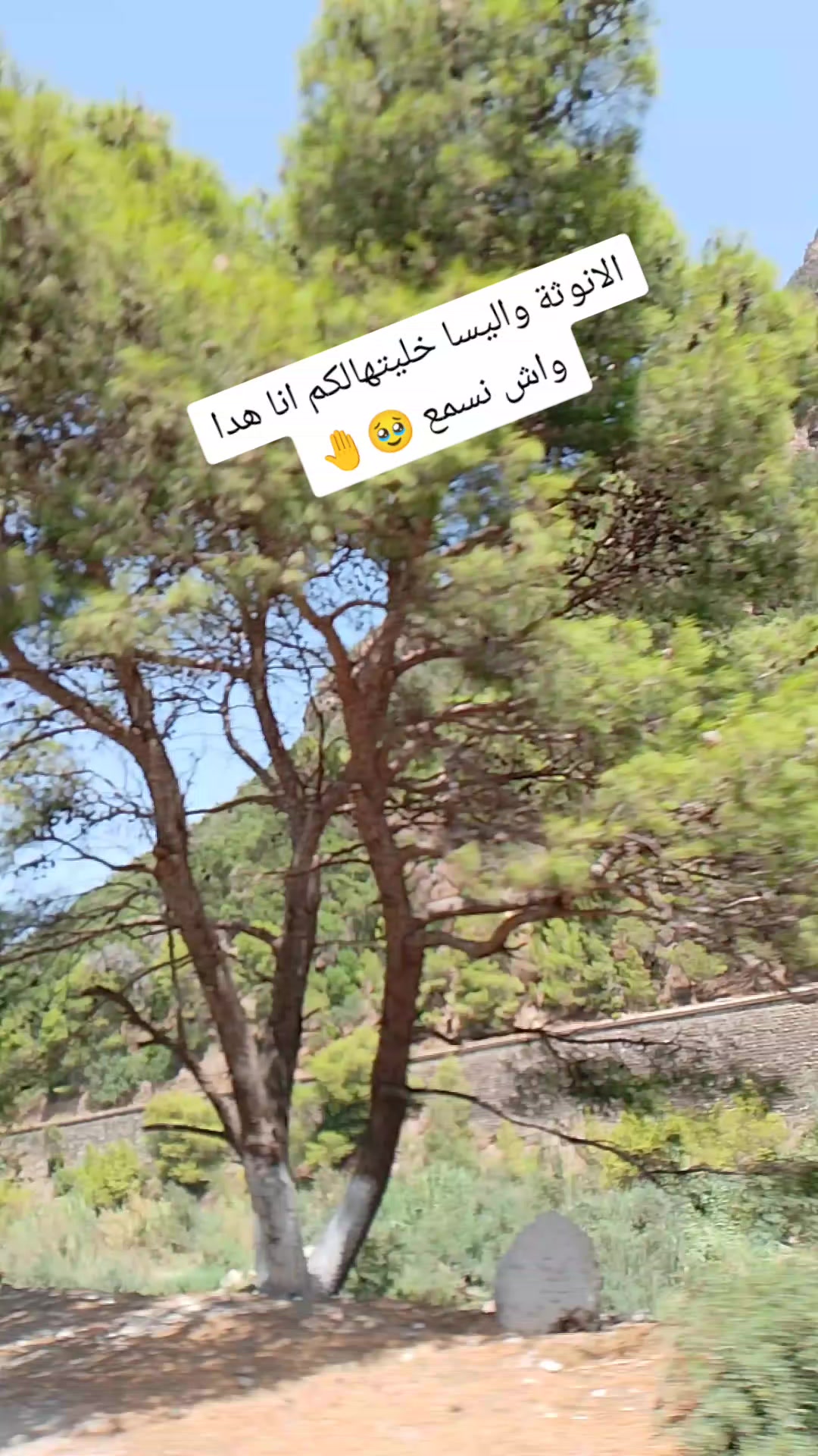 @khadidja khadidja