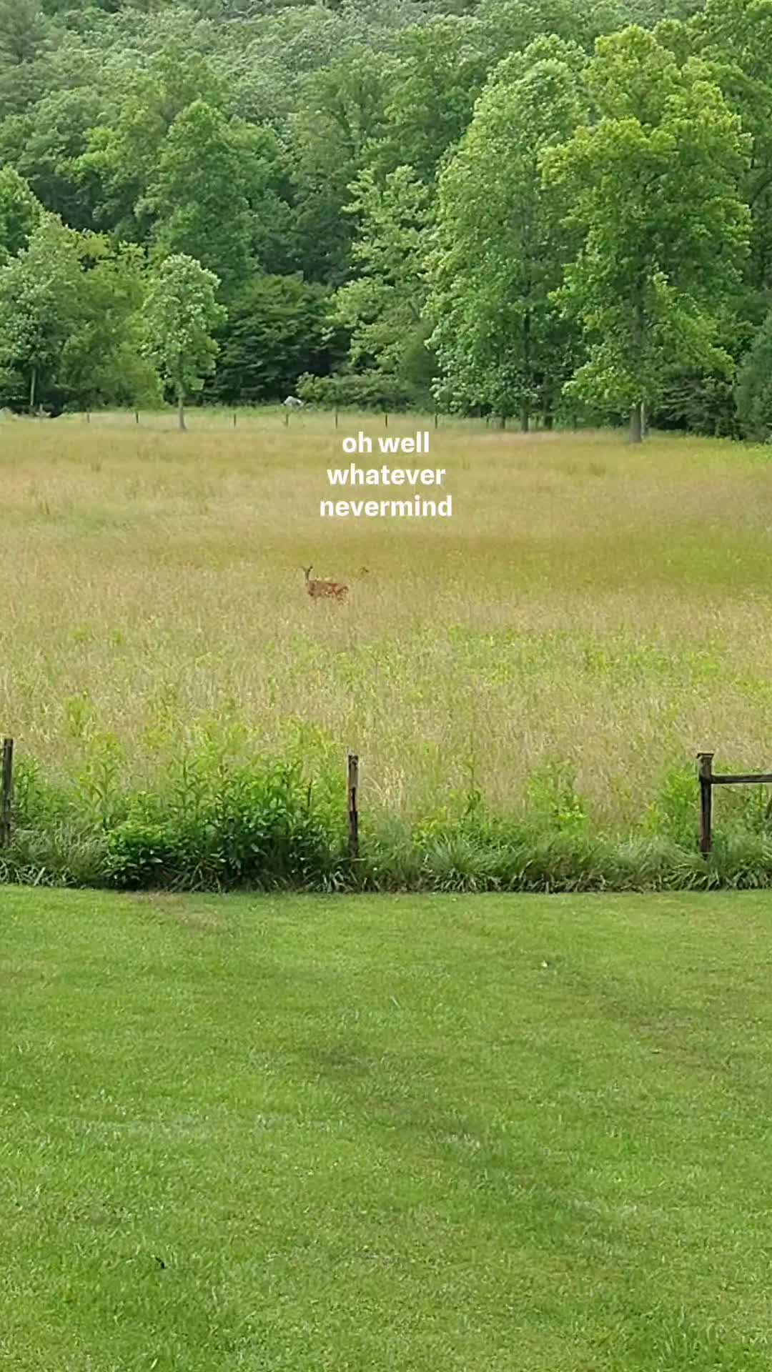@Sara