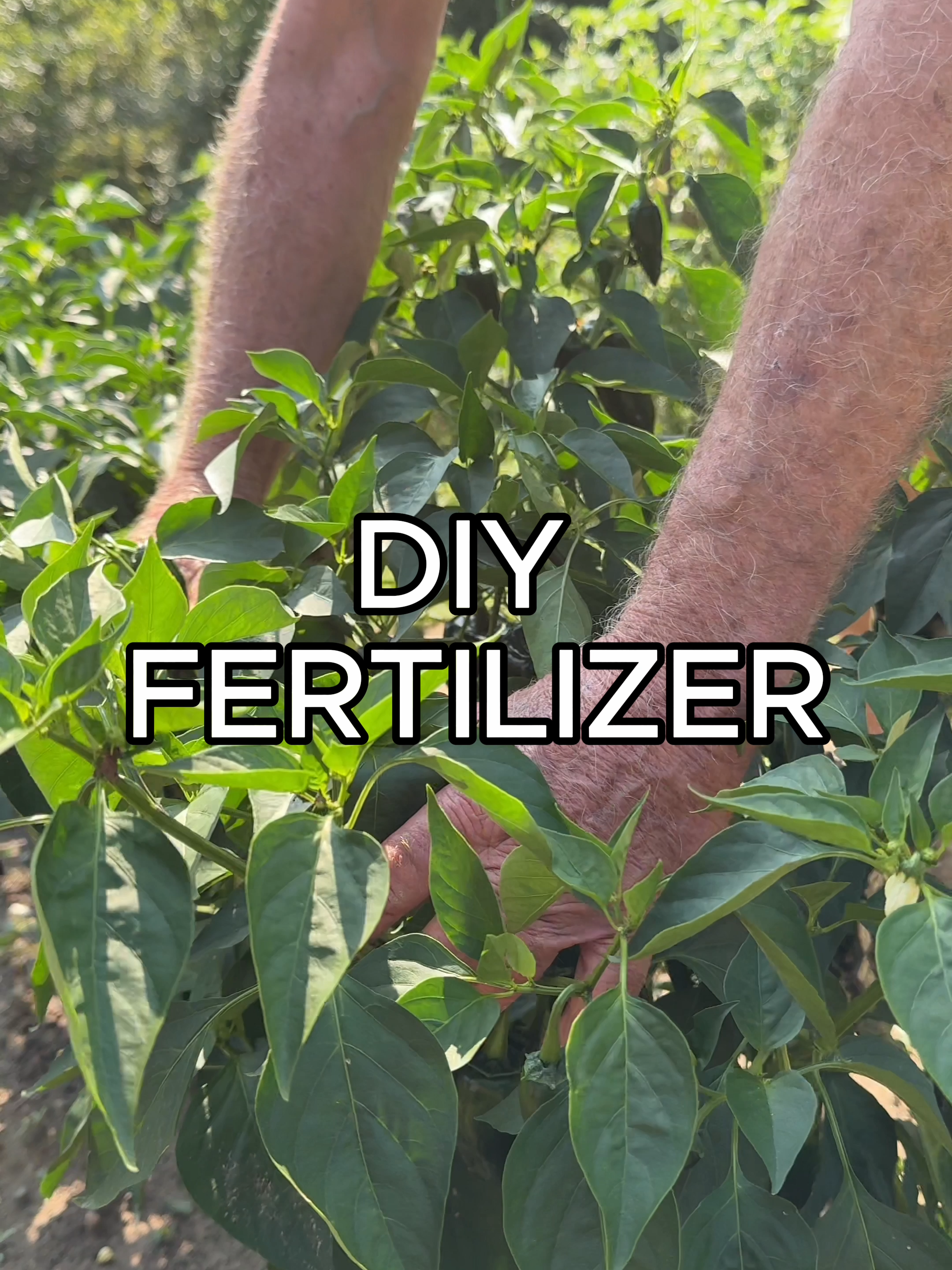 @Farmer 🧑&zwj;🌾