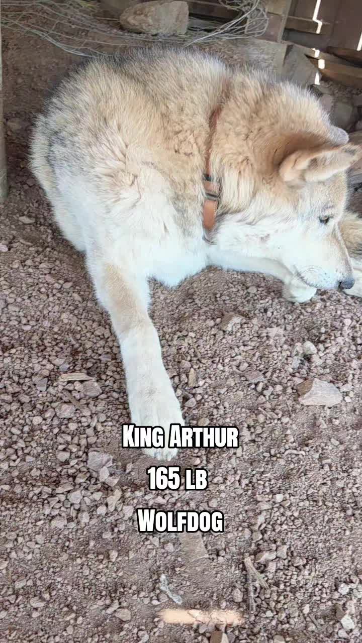@Pack 22 Alpha