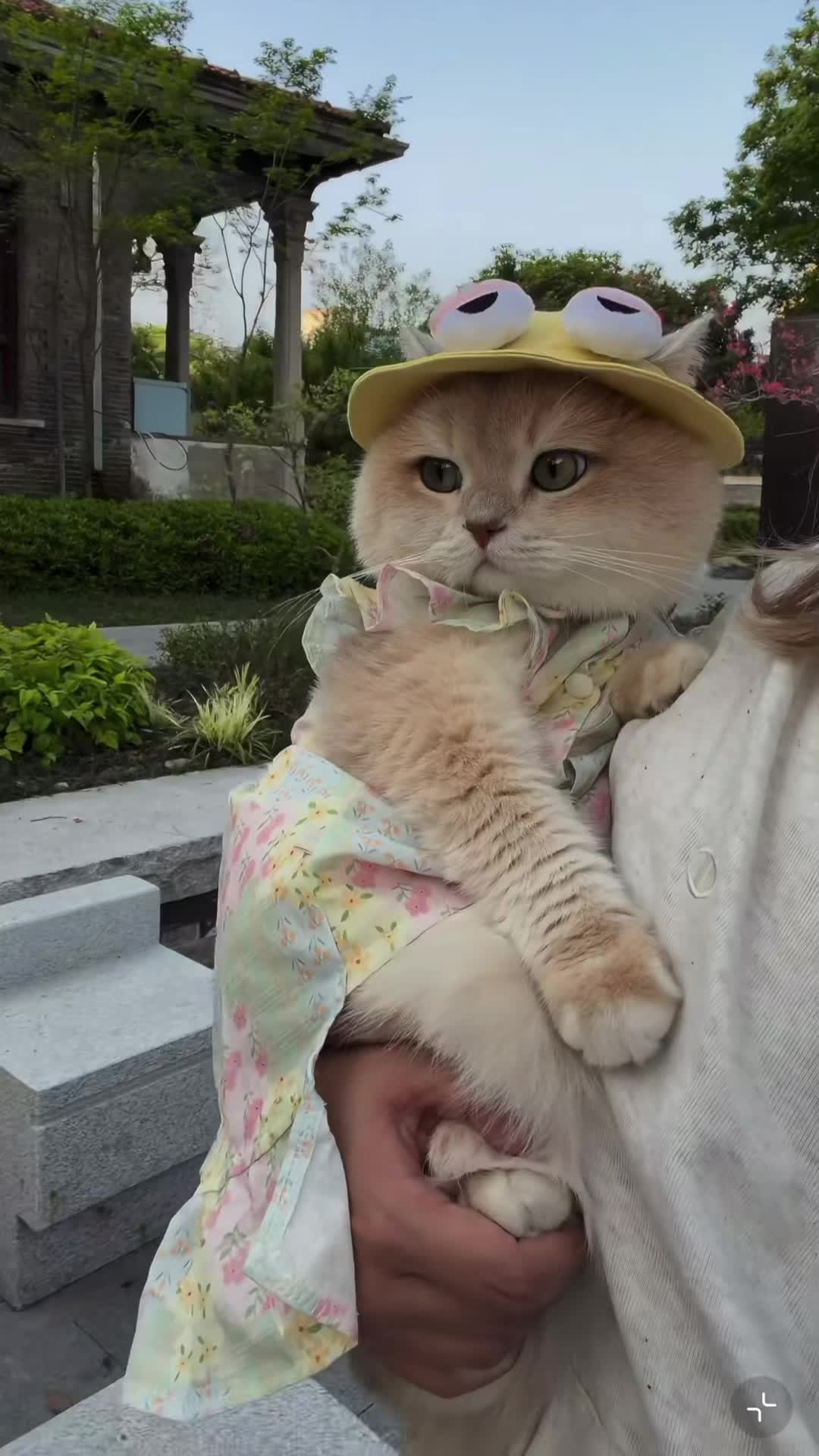 @My Daily Dose of Aww