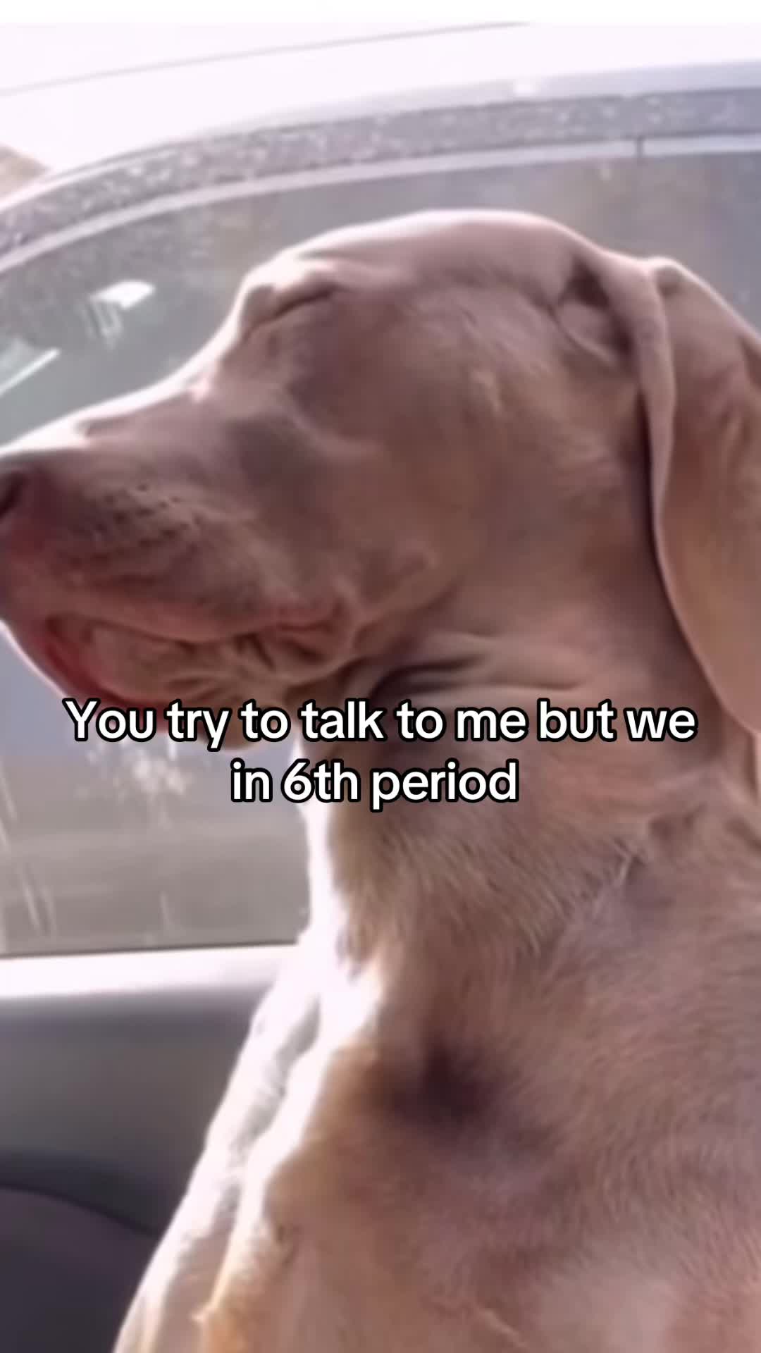 @Mimi