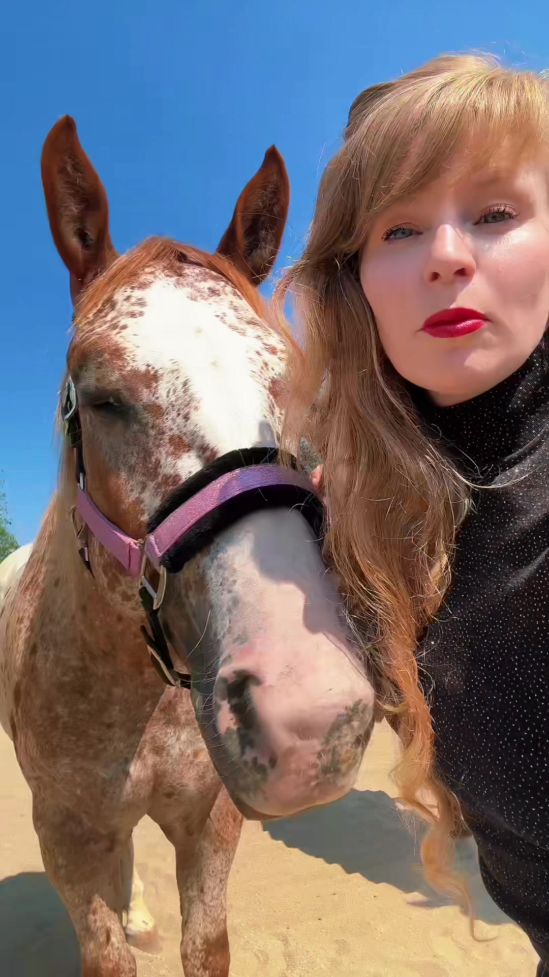 @Free Spirit Equestrian