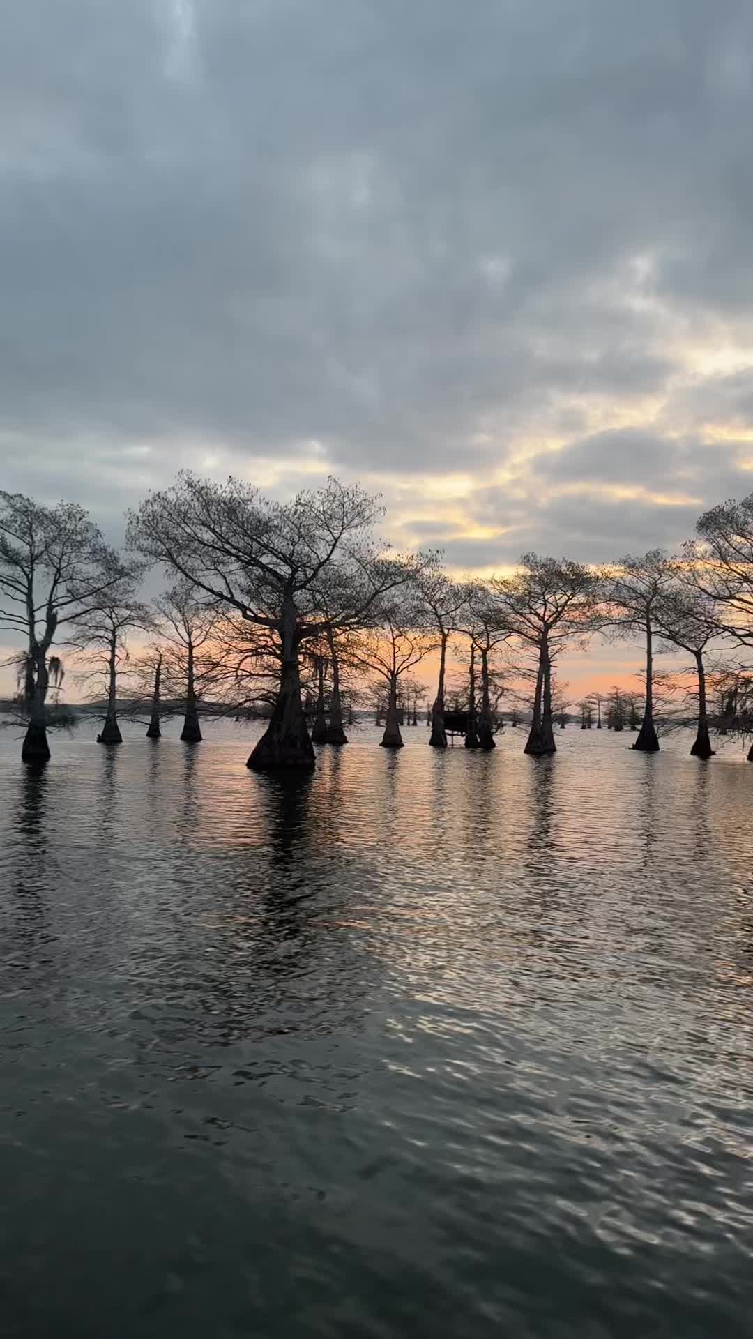 @Caddo Lake FirstCastCabin