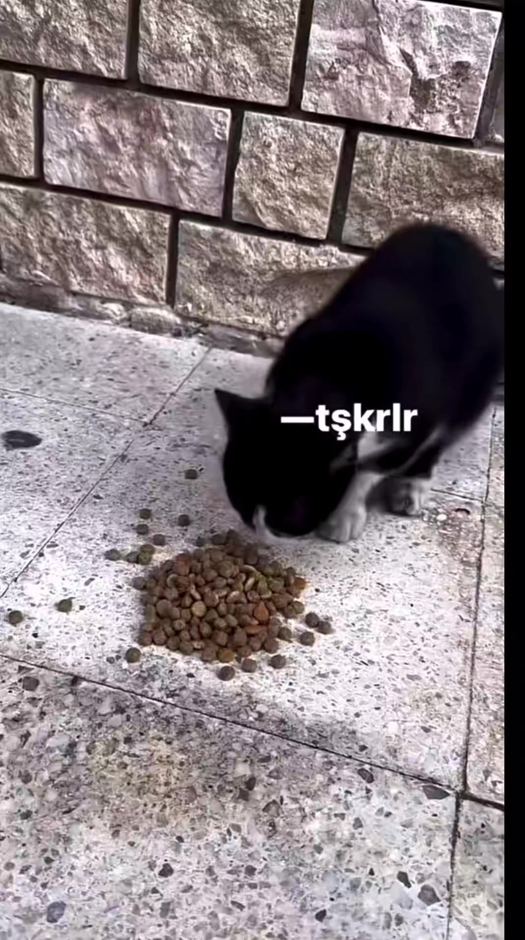 @tezcan_tekbas