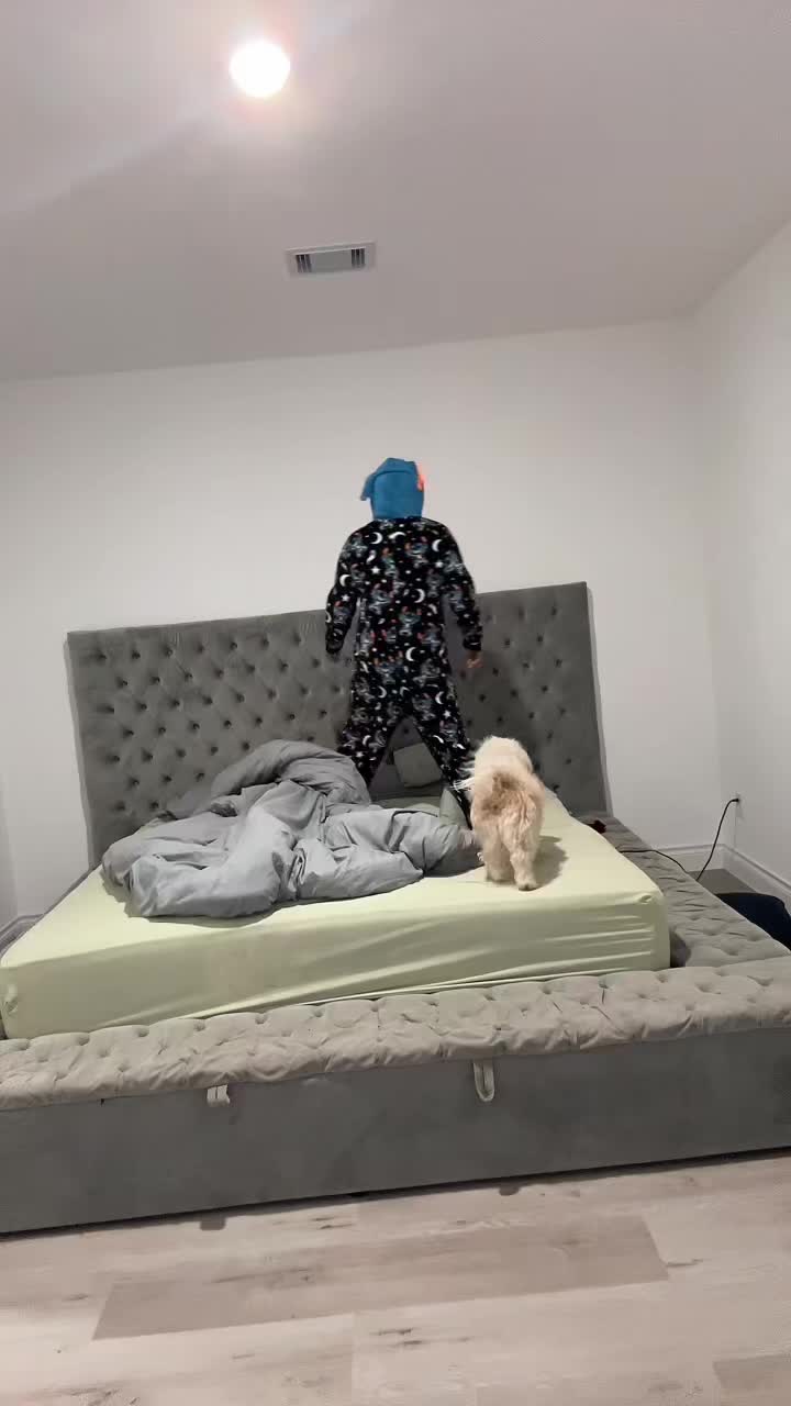 @lalalopez