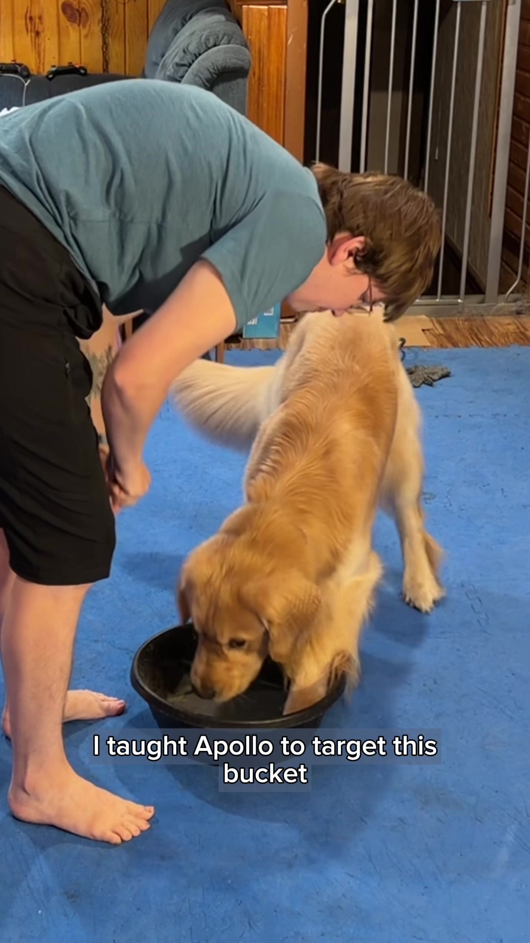 @Laura Waudby - Dog Sports