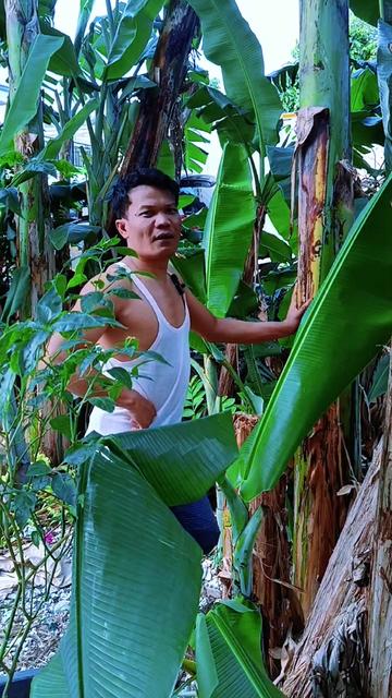 @Tokke Rongit Sihotang