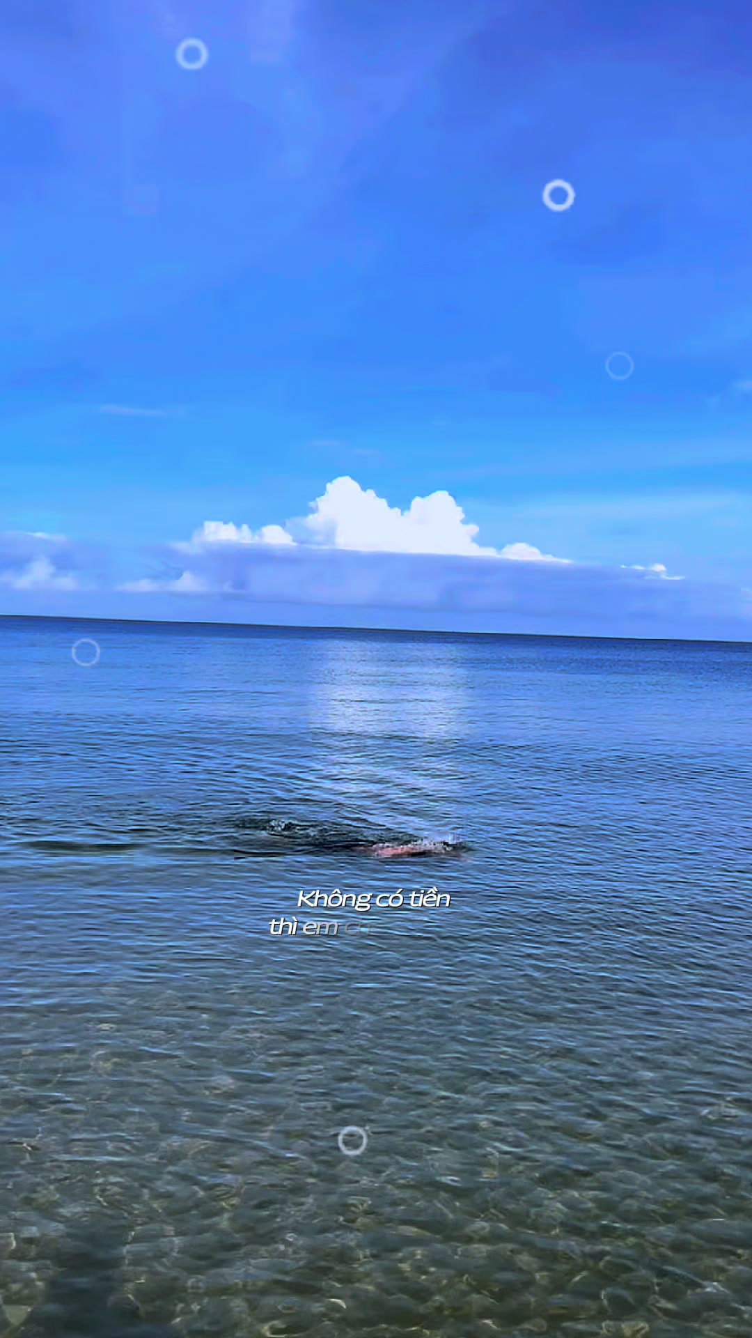 @Nam Nguyễn