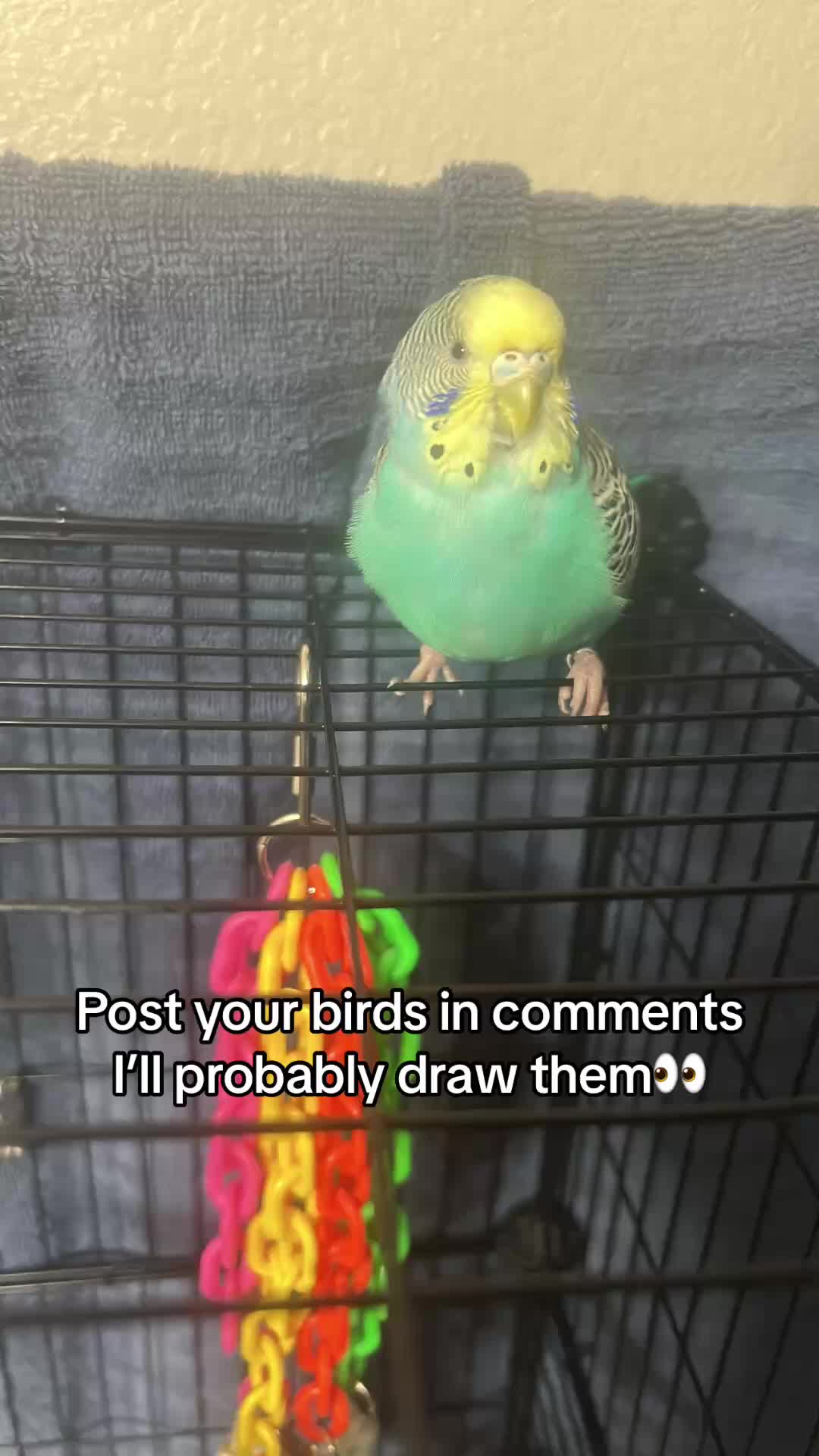 @โ. ๐หเฟ ๐ค๐ผ๐ถ๐ง๐๐หโ
