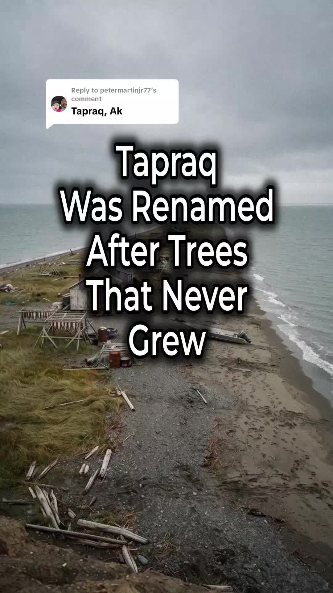 @alaska.history