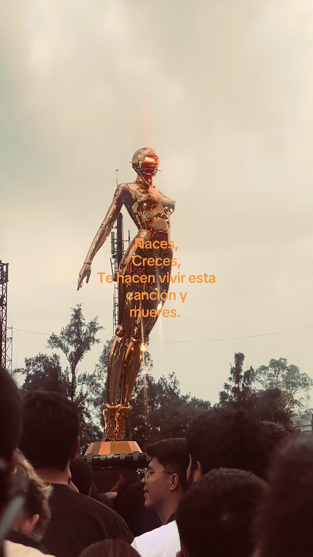 @vnnluy