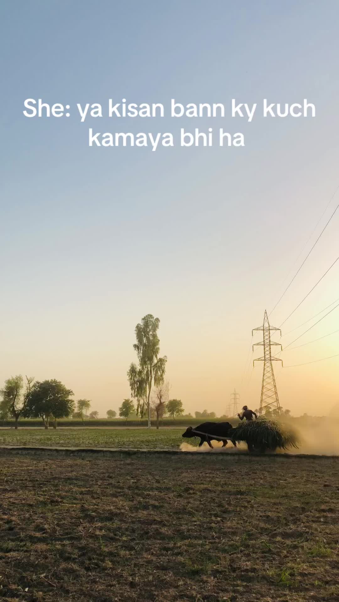 @taimoorasad07