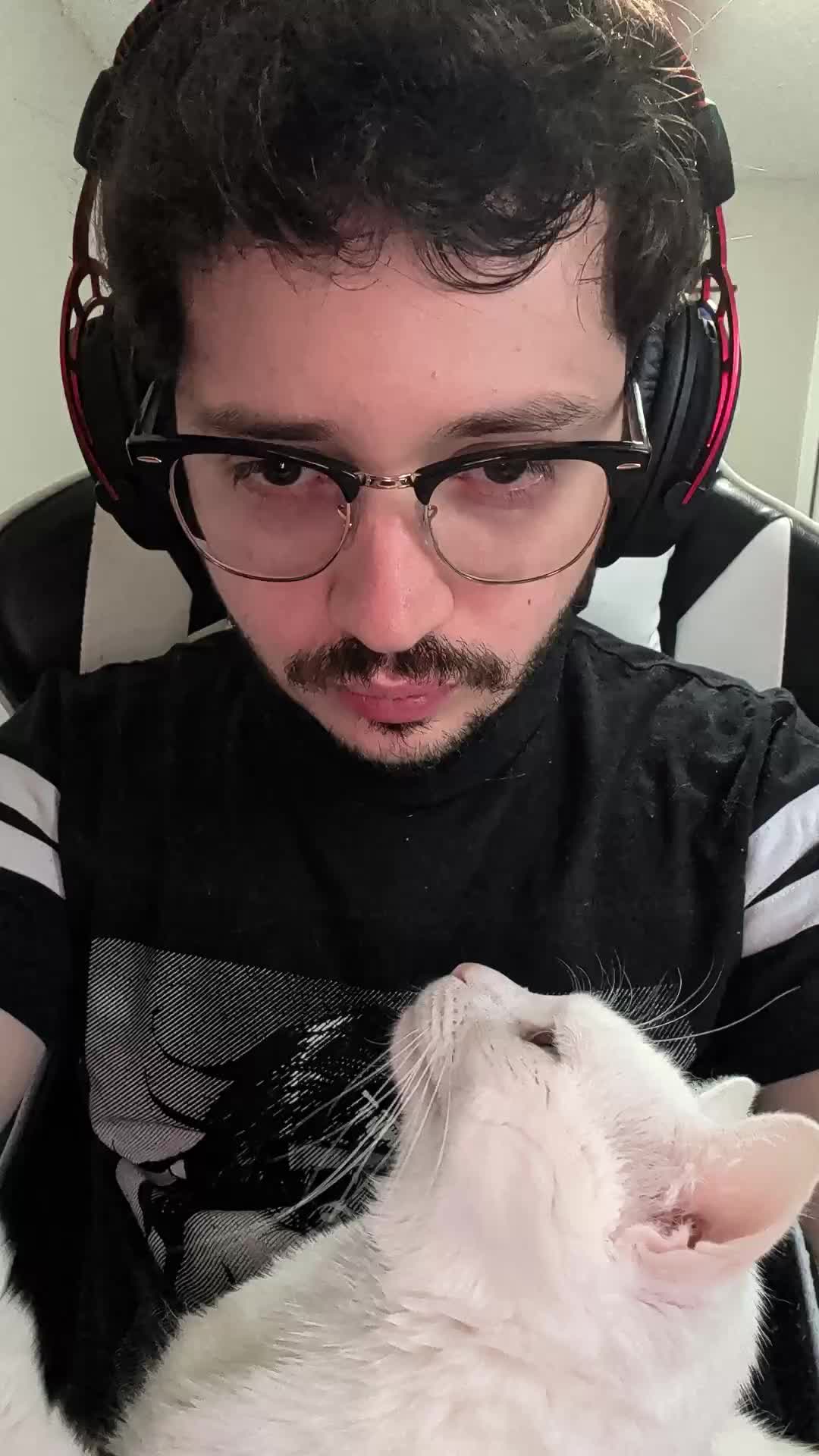 @Jorgito