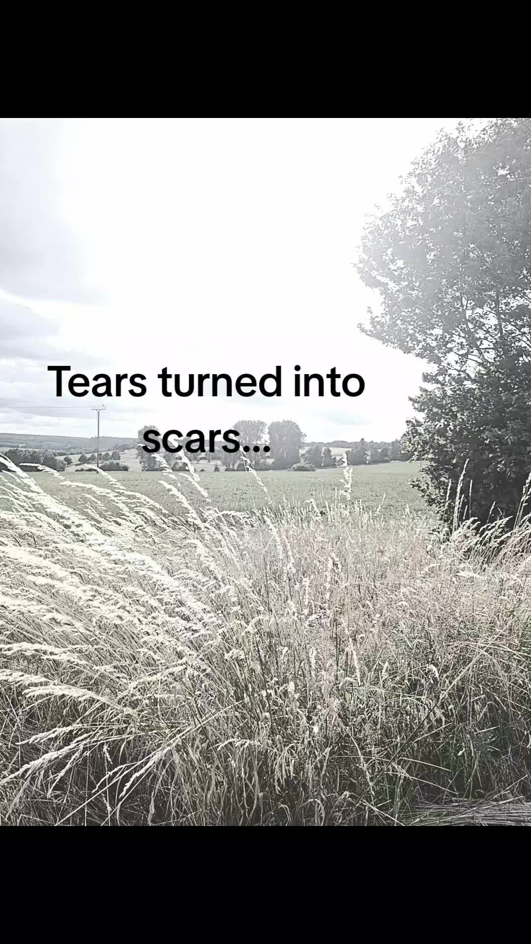 @⭐🪽