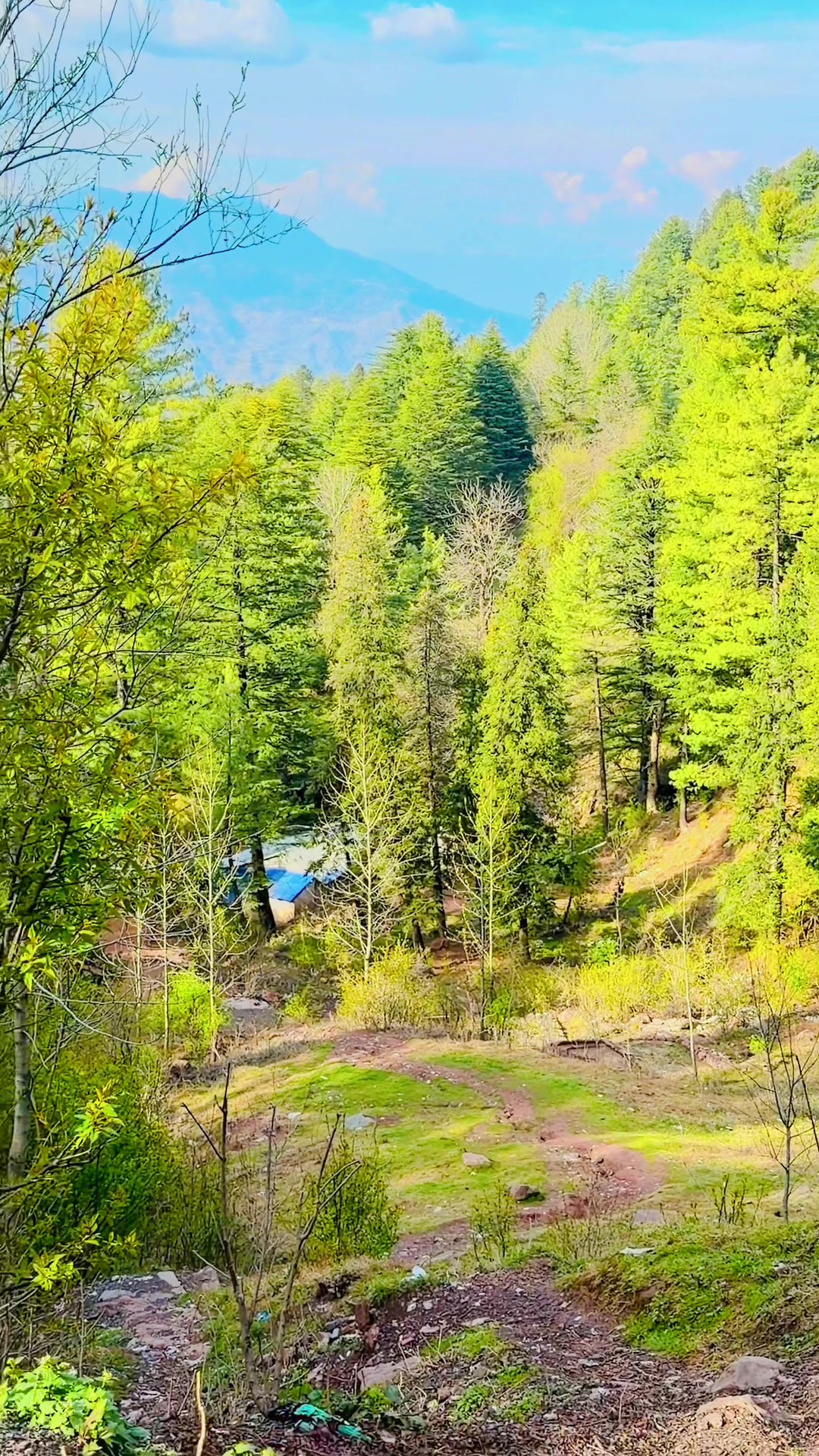 @sardar akhtar khaskheli