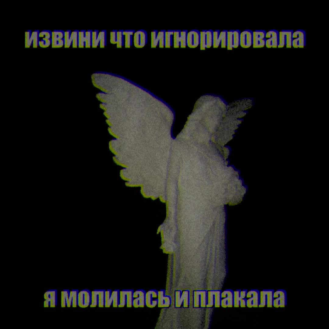 @w8h8