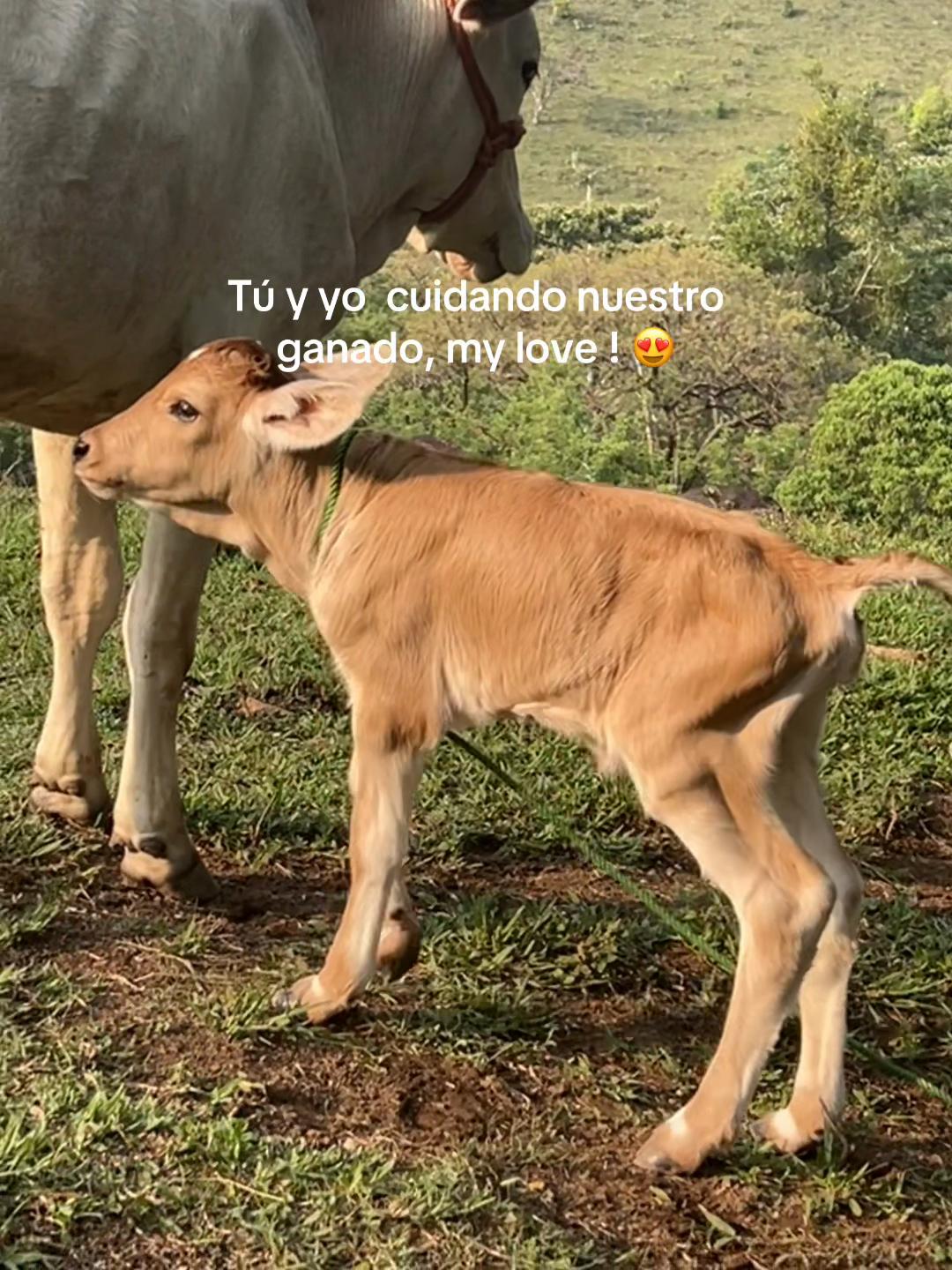 @ElsaYariela