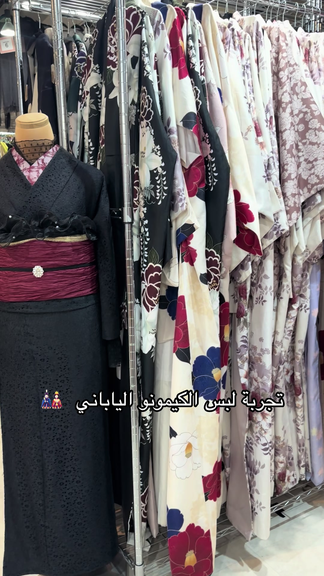 @Ms.HaneenAlhddad