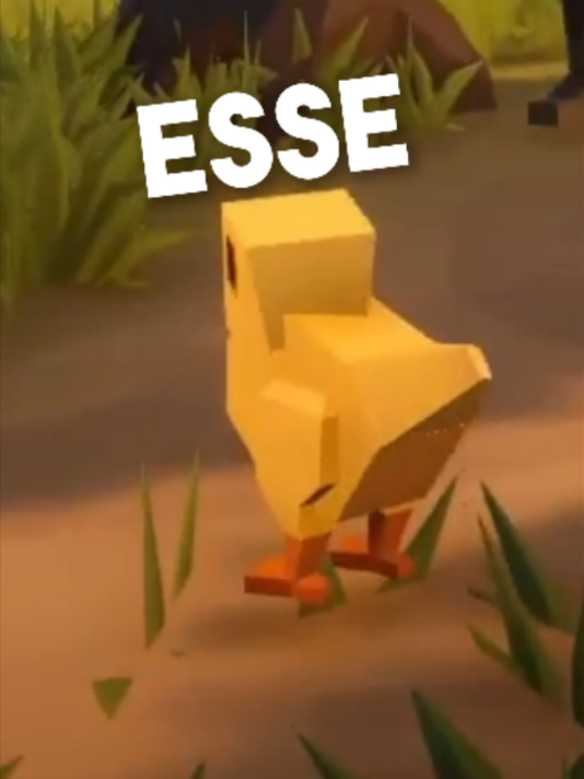 @iasserzin