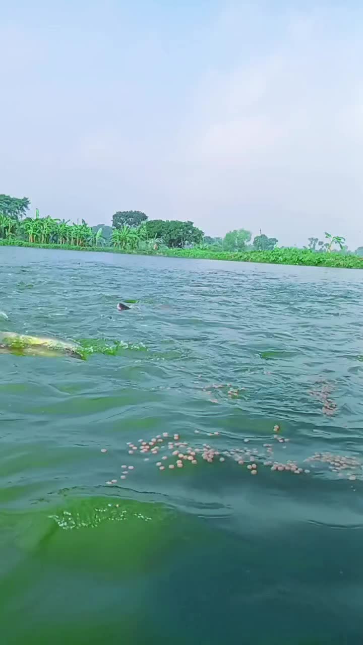 @সুজন মিয়া