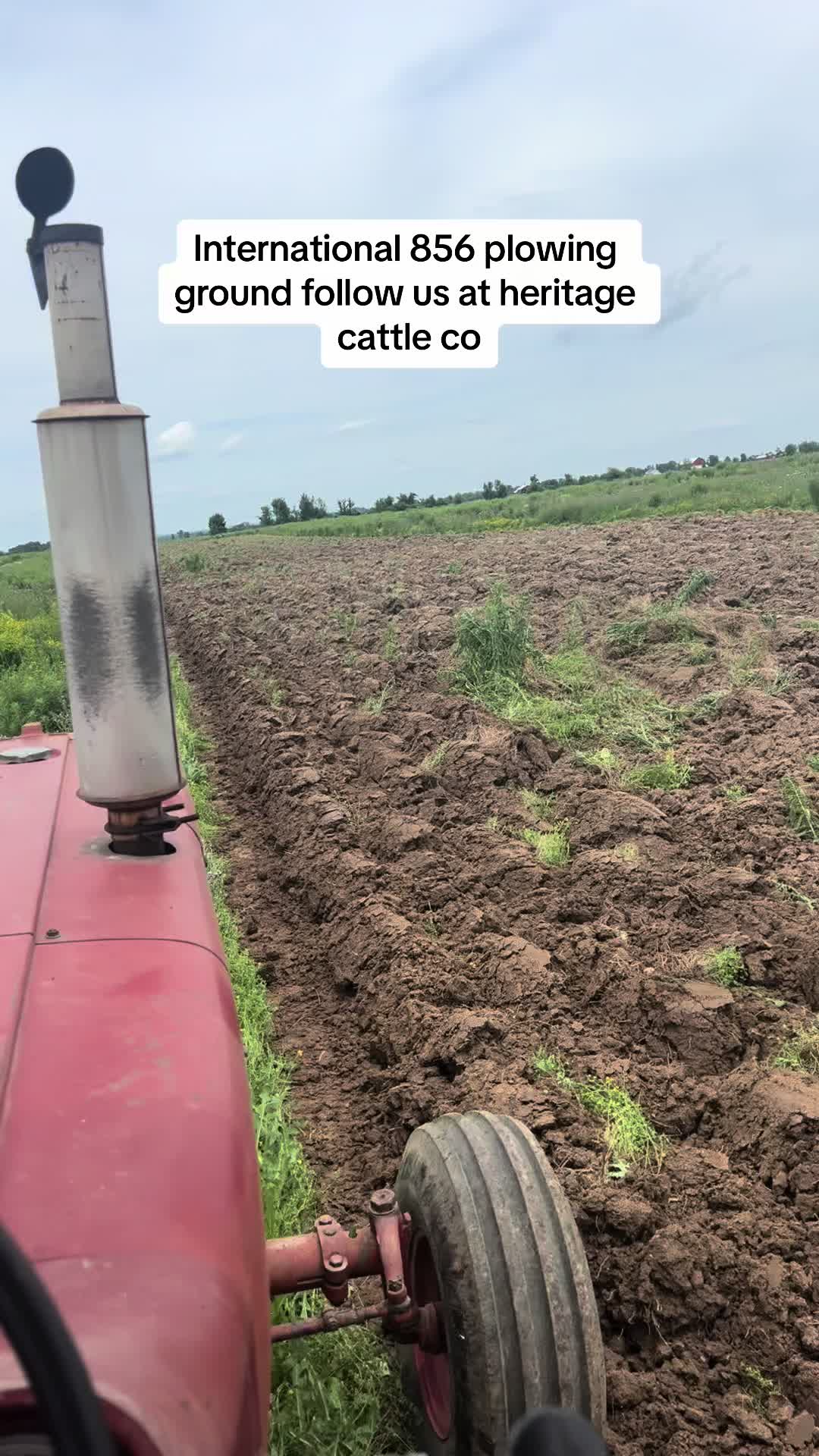 @Heritage Cattle Co