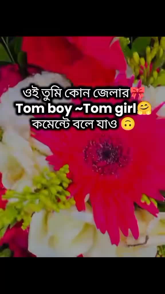 @🐸★&mdash;Tom boy&mdash;★🐸