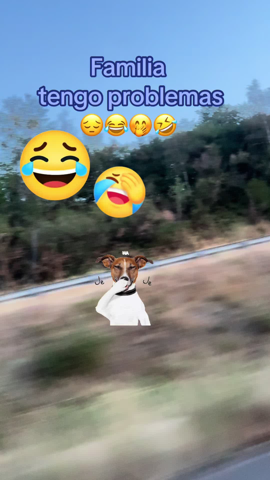 @Carina 💕🥰💕