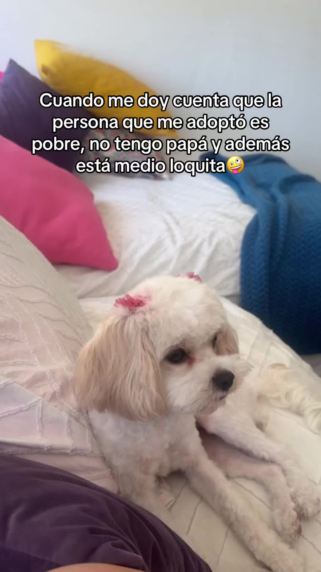 @Alanis Fernanda ✨