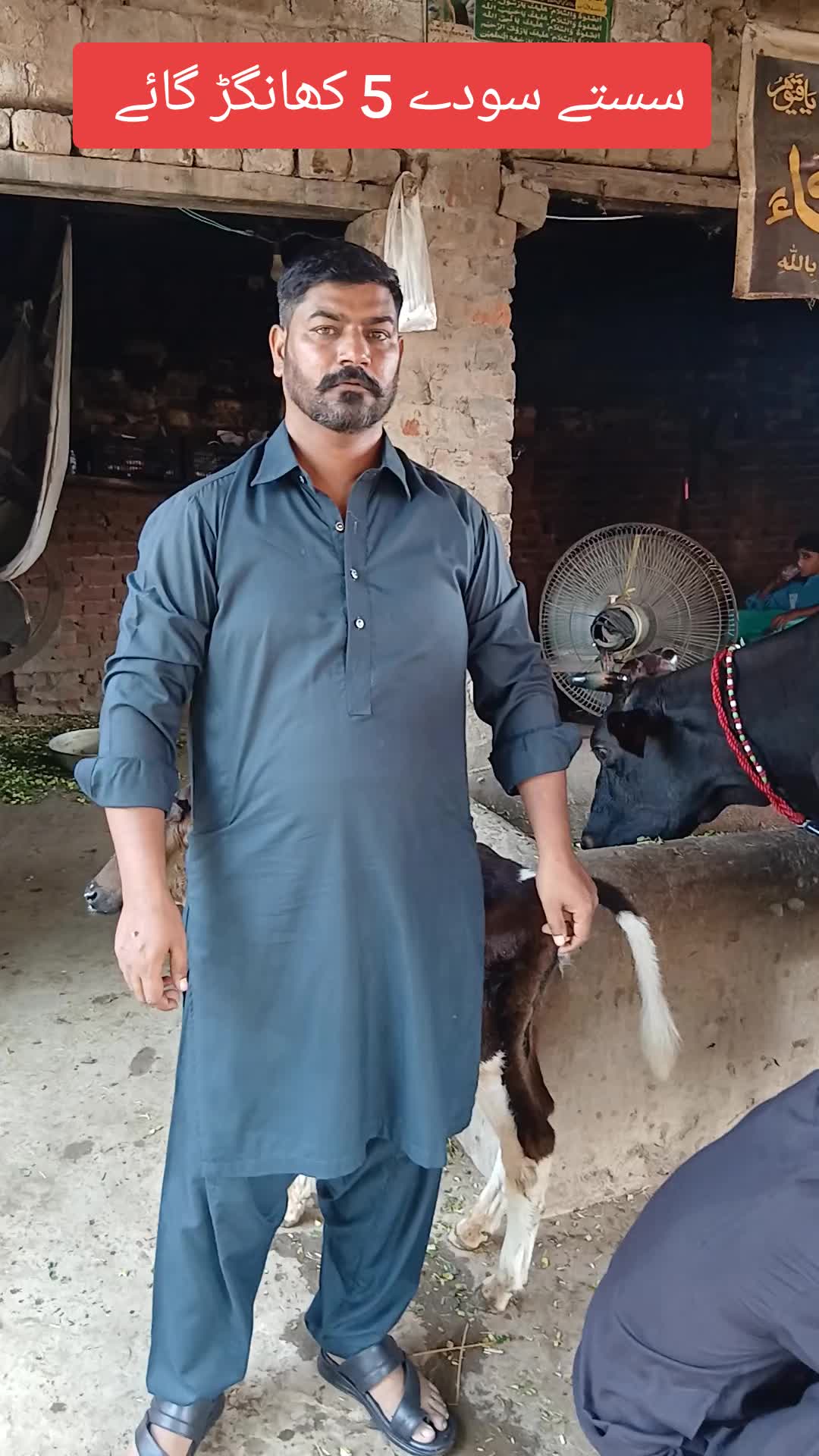 @Farming and Business Ideas