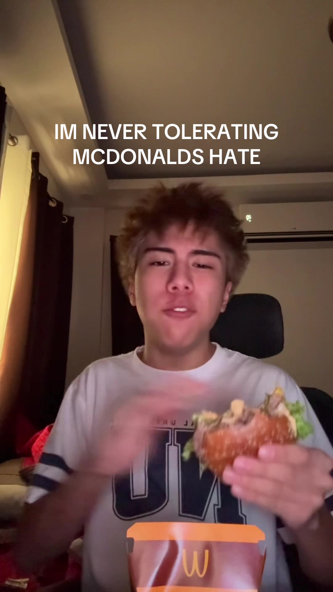 @brotato chip