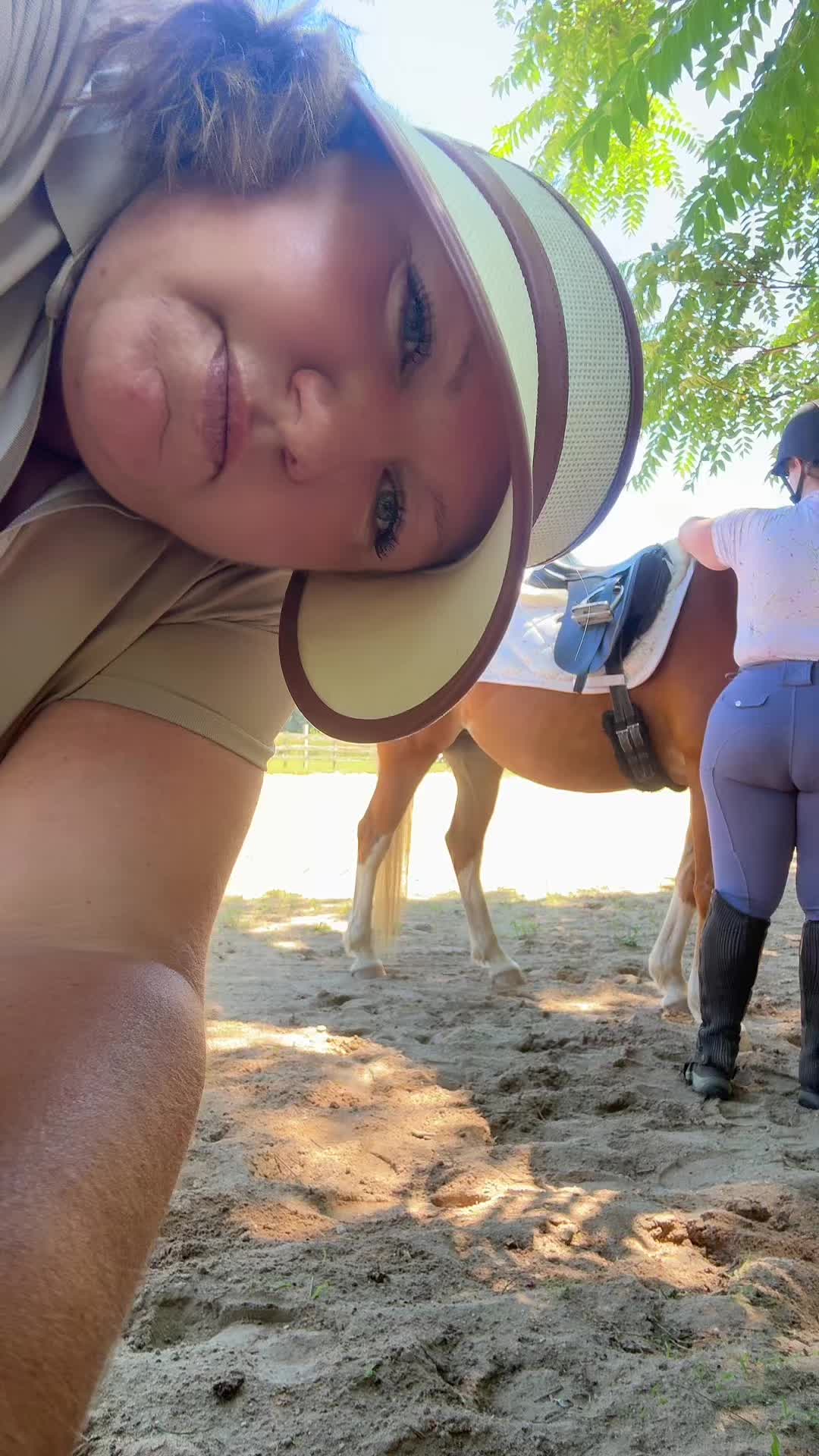@MindsetEquestrian