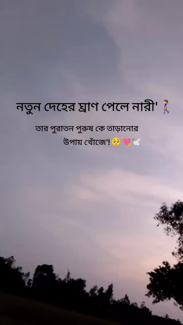 @md hadiul islam