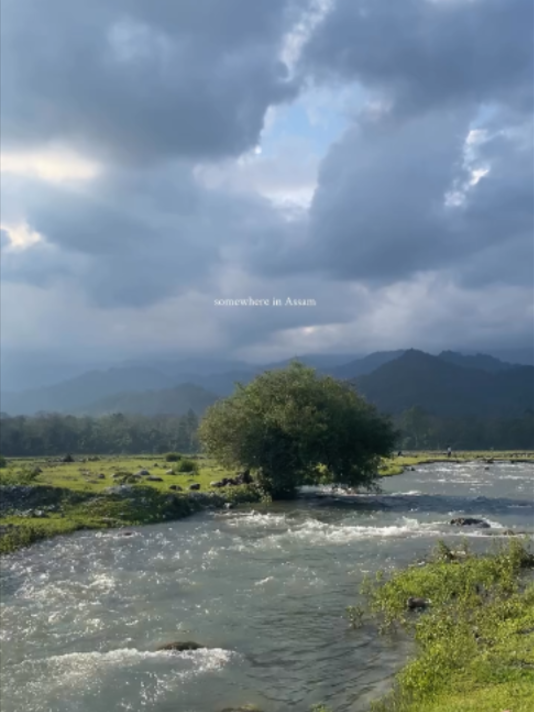 @ved🇮🇳