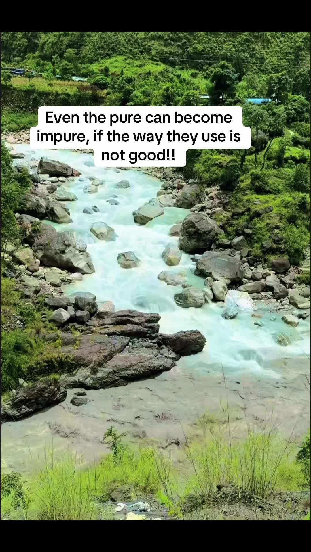 @maya_☮️🕊️🇺🇸
