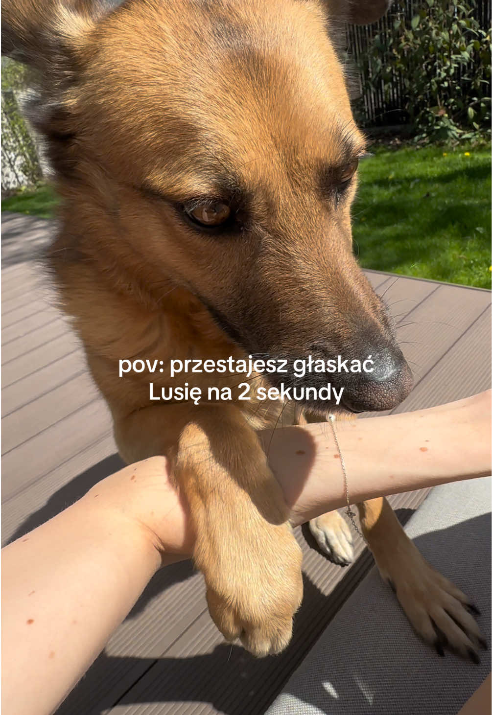 @NATSNACK