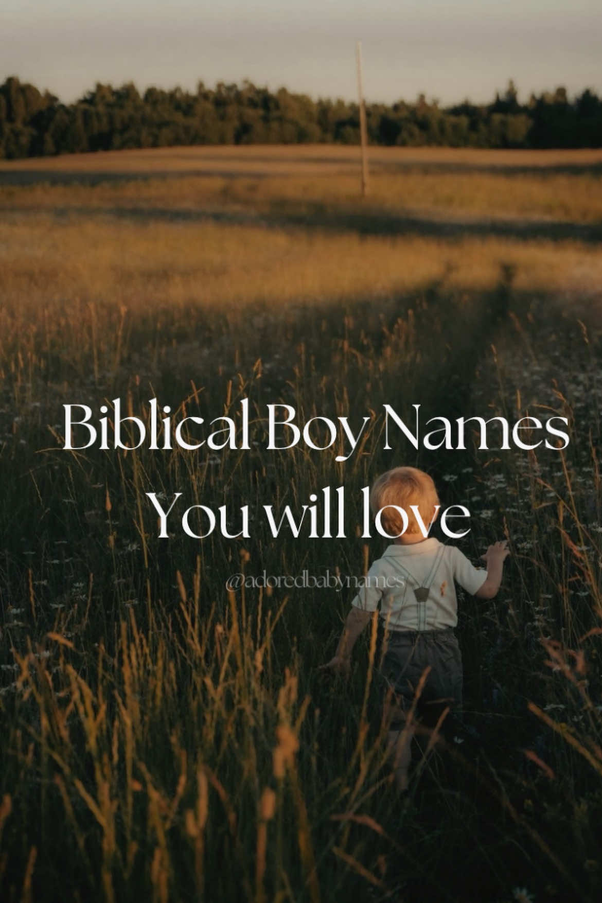 @Adored Baby Names