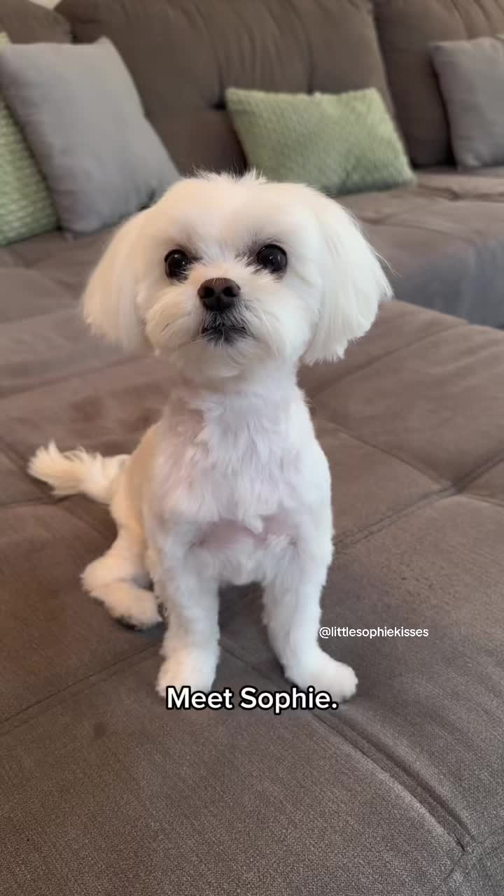 @Little Sophie kisses