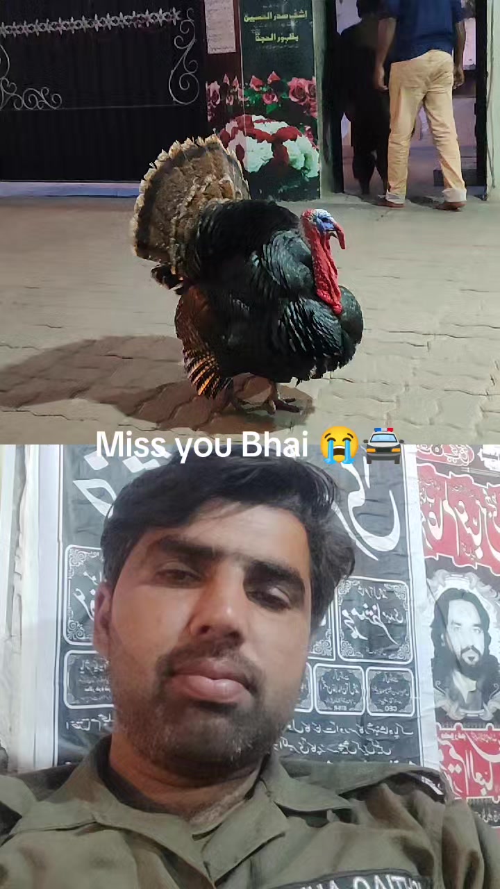 @Ishtiaq Ahmad