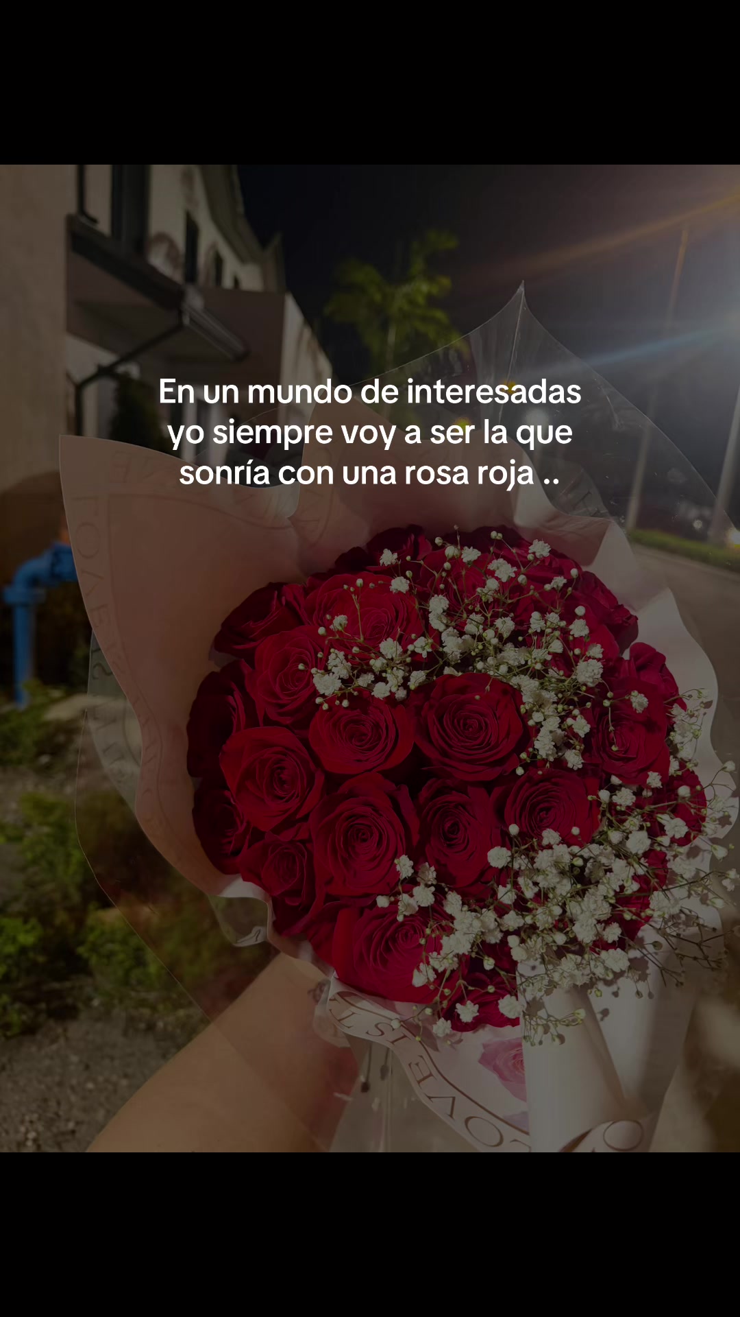 @Melissa Toruño