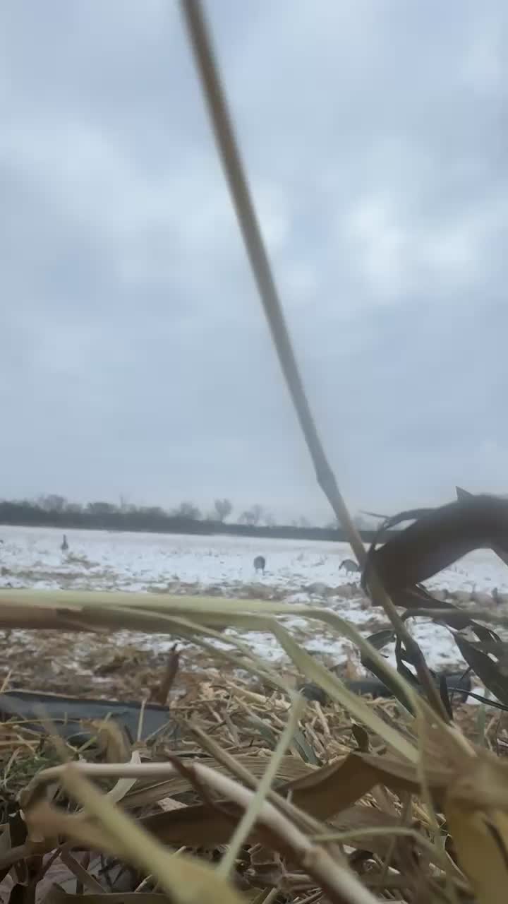 @wisco_outdoorsman