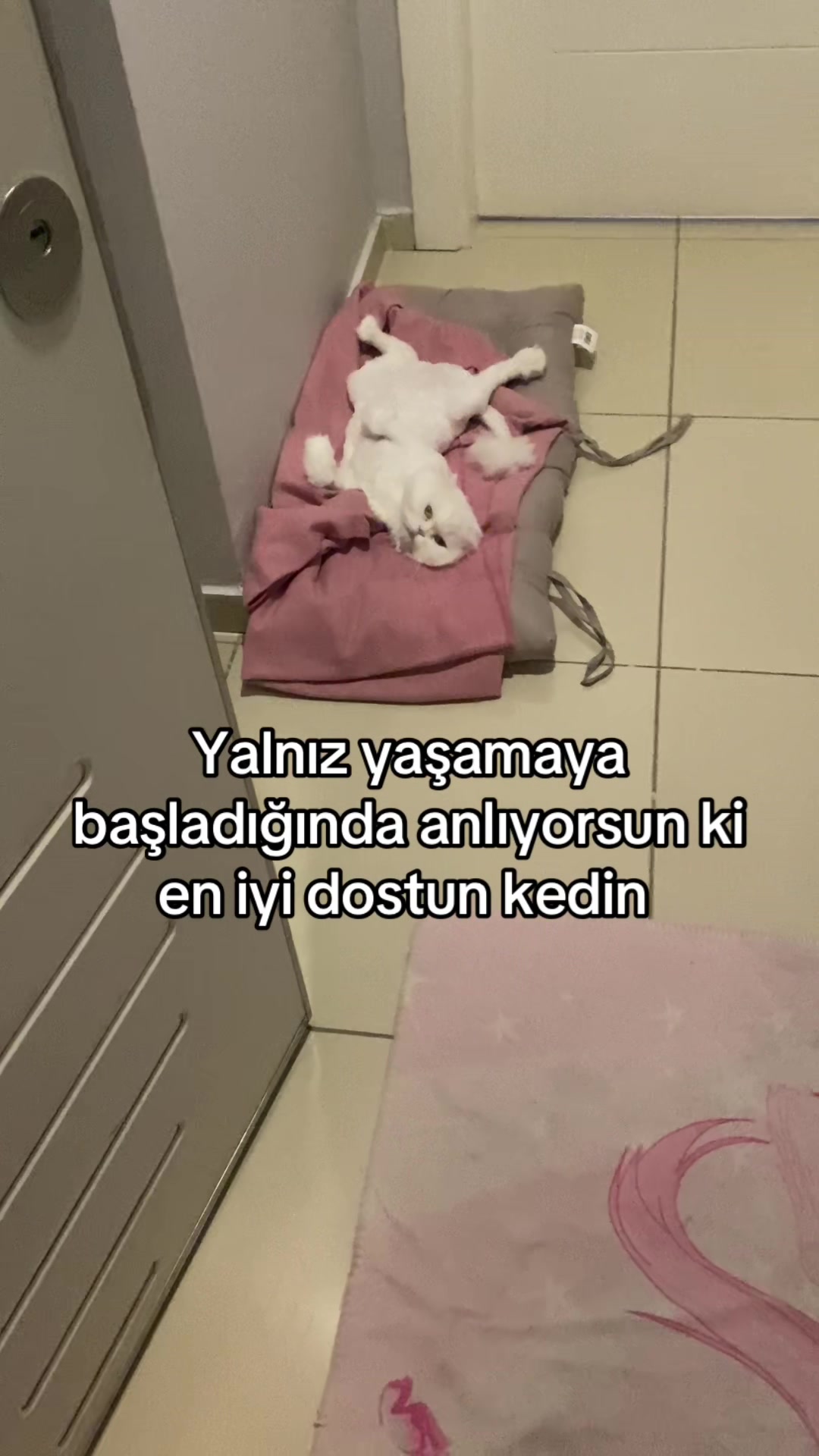 @yudummz_