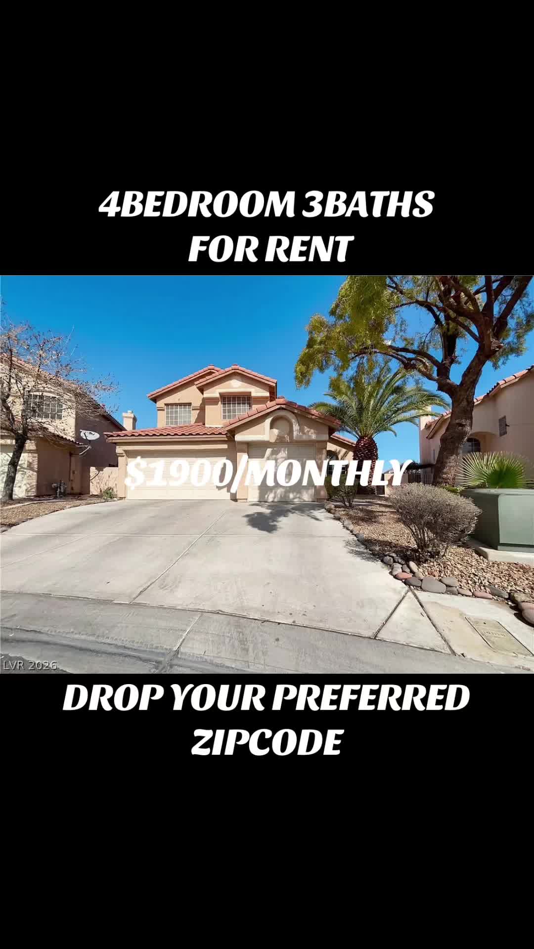 @Basil🏡